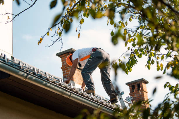 Emergency Roof Repair in Wofford Heights, CA