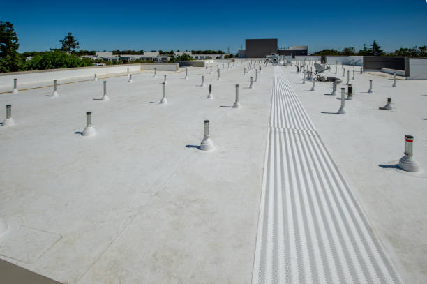 Best Steel Roofing  in Wofford Heights, CA